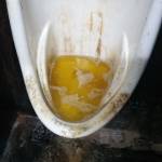 Piss boys Profile Picture